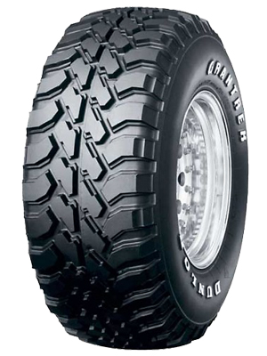 Dunlop GrandTrek MT1